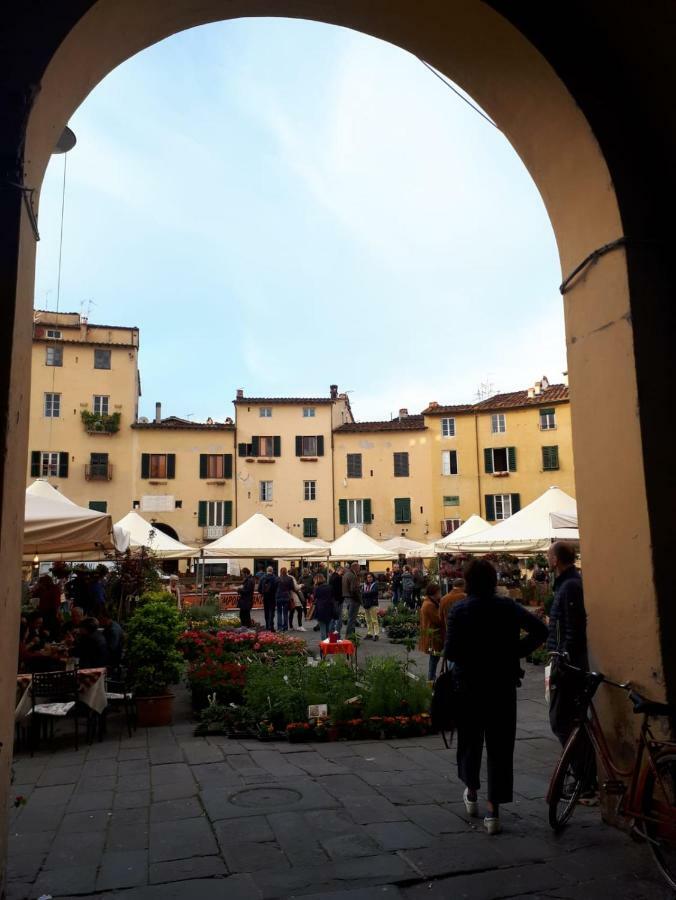 La Dimora Nell'Anfiteatro Hotell Lucca Eksteriør bilde